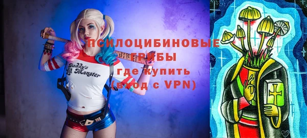 спиды Арсеньев