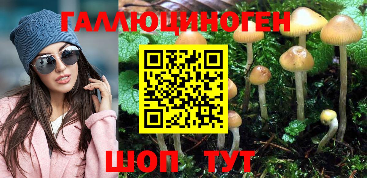 Псилоцибиновые грибы Psilocybe Балашиха